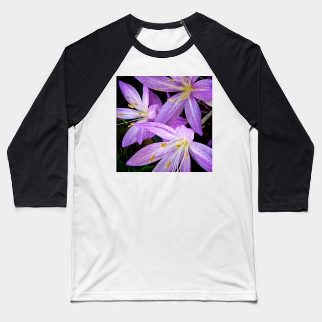 Saffron Crocus Flowers Photography Baseball T-Shirt by Heatherian